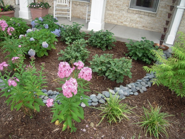 Joyce rain garden details